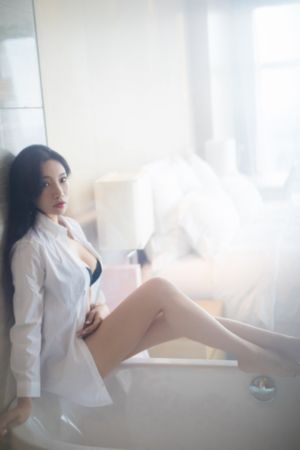 金装的维尔梅